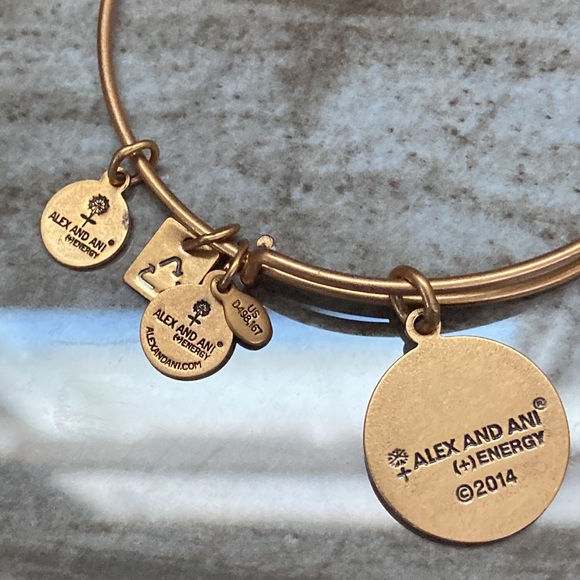 Alex And Ani World Globe Map Bangle Bracelet - Picture 8 of 8
